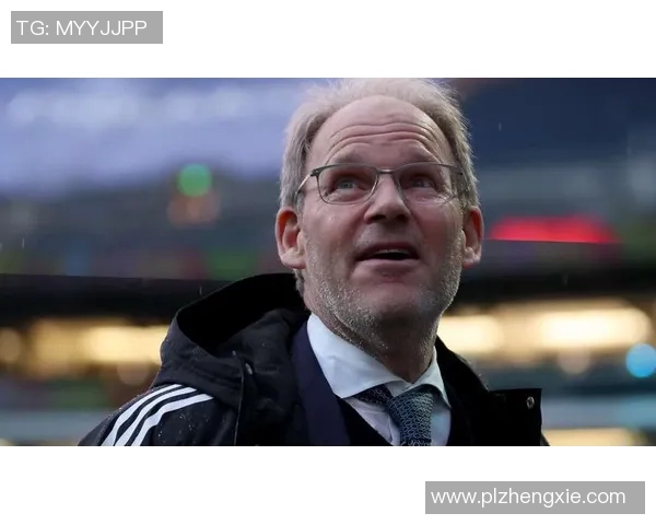 德国足球明星的辉煌历程与成就解析，探索他们的影响力与传奇故事