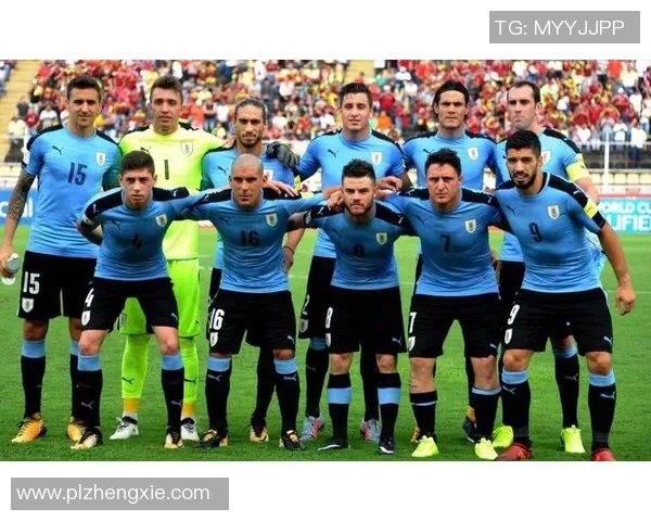 独家解析：上海篮球队球员个人能力全面对比与分析